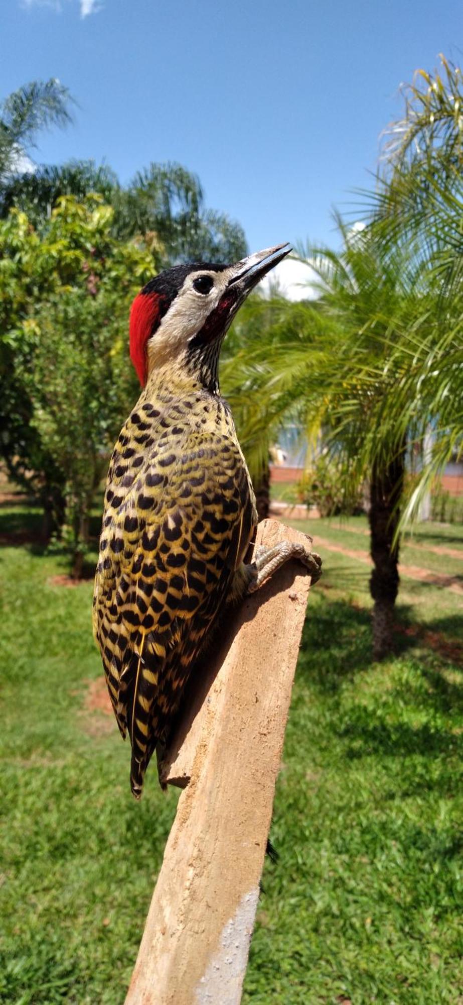 Pousada Estancia Mineira Guape Ngoại thất bức ảnh